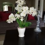 Lynette Pearson - @lynette.pearson.16 - Instagram