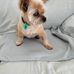 Lynette Phillips - Facebook