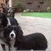 Lyn Pickering - Facebook
