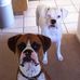 Lynnette Pickering - Facebook