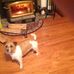 Lynette Pitcher - Facebook