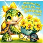 Lynette Pritchard - Facebook