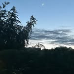 Lynette Purdy - @sol_bow - Instagram