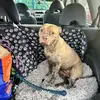 Lynette Purdy - @lynette.purdy - TikTok