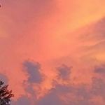 Lynette Reed - @grams.1949 - Instagram