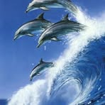 Lyn Rossiter - Facebook