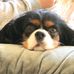 Lynette Rowley - Facebook