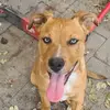 carollynetteryan - @carollynetteryan - TikTok