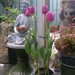 Lynette Ryan - Facebook