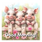 Lynette Ryan - Facebook