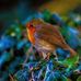 Lynette Satterfield - Facebook