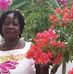 Lynette Springer - Facebook