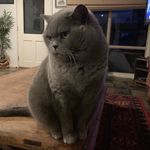 Lynette Stevenson - @lynette.stevenson.58 - Instagram
