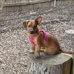 Lynette Miller Stratton - @lgstratton - Instagram