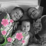 Lynette Strickland - @chintz1259 - Instagram