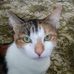 Lyn Thornton - Facebook