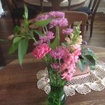 Lynette Wagner-Mills - @wagnermills - Instagram