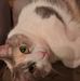 Lynette Wallace - Facebook