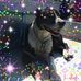 Lynette Watts - Facebook