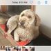 Lynette Wegner - Facebook