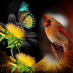 Lynnette Wickham Rounsaville - Facebook