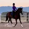 lynettewilhelm912 - @lynettewilhelm912 - TikTok