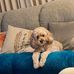 Lynette Wilkinson - Facebook
