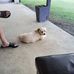 Lynette Worrell - Facebook