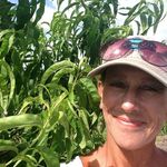 Lynn Aaron - @lynnaaron4275 - Instagram