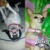Lynn Ackermann - Facebook