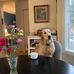 Lynne Affleck - Facebook