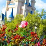 Carrie Lynn Agee - @onceuponatimeeventsandtravel - Instagram