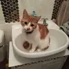 oldbiddie - @lynn.adamsahern - TikTok