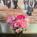 Lynn Albright - @albright7197 - Instagram