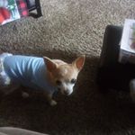 Lynn Albright - @lynnalbright927 - Instagram