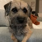 Lynn Allan - @megthebt - Instagram