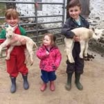 Lynn Allan - @allan.lynn - Instagram