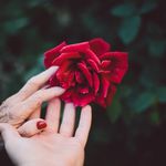 Lynn Apple - @lynnapple6695 - Instagram