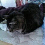 Tabby Lynn Applegate - @tabby1698 - Instagram