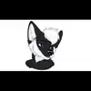 Flynn Arbuckle - @flynn.arbuckle - TikTok