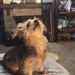 Janie Armour - @lynnarmour456 - Instagram
