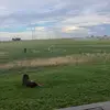 Lynn Arriaga - @lynn.arriaga - TikTok