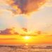 Lynn Arrington - Facebook