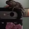 Lynn Ayers - @lynn.ayers0 - TikTok