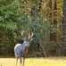 Lynn Babb - Facebook
