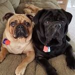 Lynn Fedewa Babbitt - @fedewababbitt - Instagram