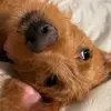 user619975646771 - @jlynnbabin - TikTok