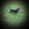 JoLynn_Bacon - @jolynnbacon - TikTok