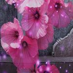 Lynn Bacon - @blueeyes00005 - Instagram