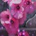 Lynn Bacon - Facebook